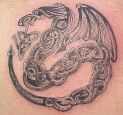 Celtic Knot Dragon Tattoo 